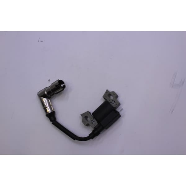 Module Ign (Cast Iron W/Rfi)